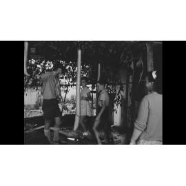 Kids have grown a 60 inch New Guinea bean