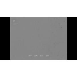 A Rothmans PR man spruiks a sports foundation