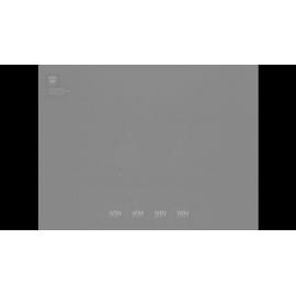 May Day preparations 1969