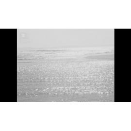 Shallow waters on the coast