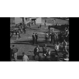 Nowra Races Attract Large Crowds