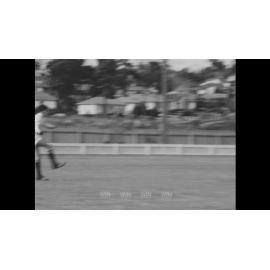 Tasman Cup at Figtree