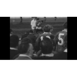 Wests versus Collegians Illawarra Rugby League