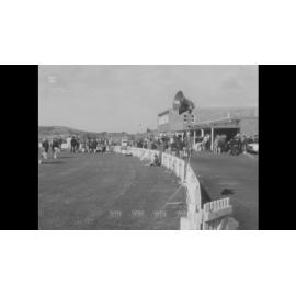 Southern Illawarra Sports                  