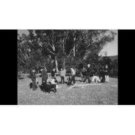 Dog Tracking Trials Near Dapto             