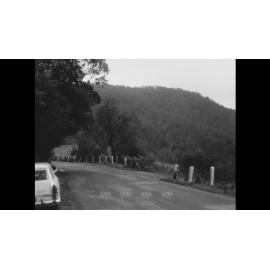 Bullock Cart on Cambewarra Mountain