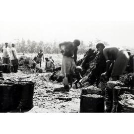 Mosa Plantation, New Britain