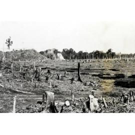 Mosa Plantation, New Britain