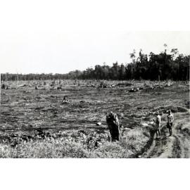 Mosa Plantation, New Britain
