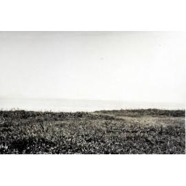 Mosa Plantation, New Britain