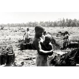 Mosa Plantation, New Britain