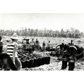 Mosa Plantation, New Britain