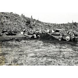 Mosa Plantation, New Britain
