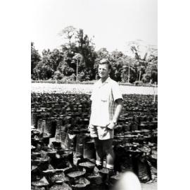Mosa Plantation, New Britain