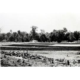 Mosa Plantation, New Britain
