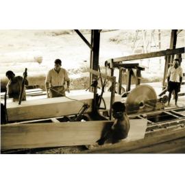 Sawmill under direction of William McQuillan