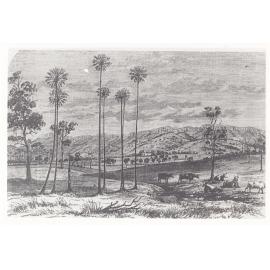 Sketch of unidentified farm