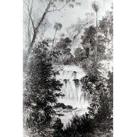 American Creek, Mount Kembla