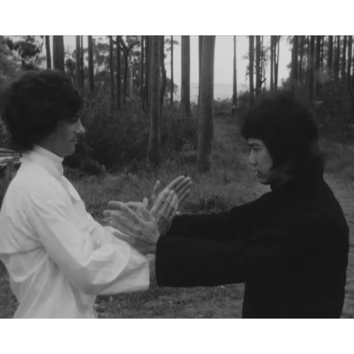 Kung Fu part 3