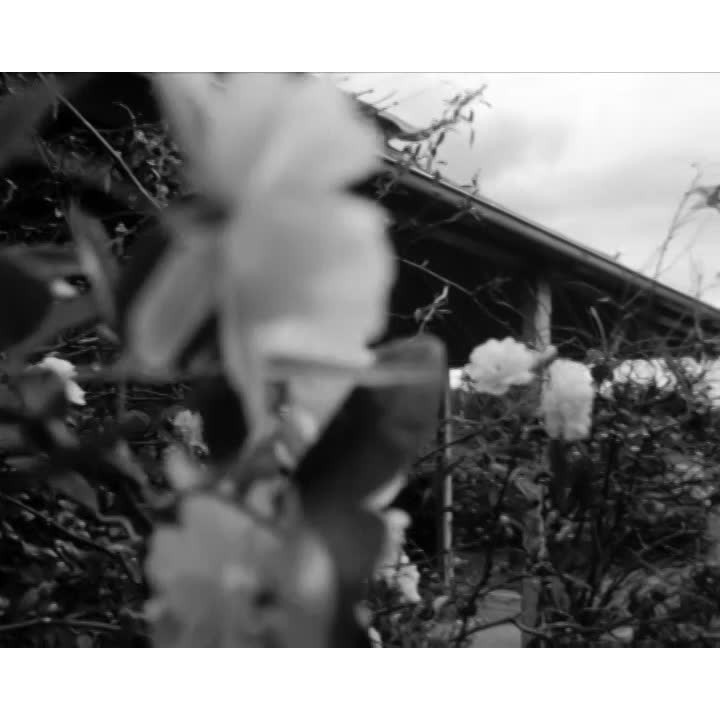 Anglican Church at Dapto part 3