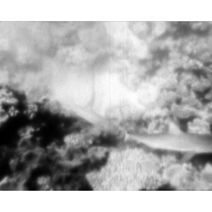 John Harding on sharks part 1