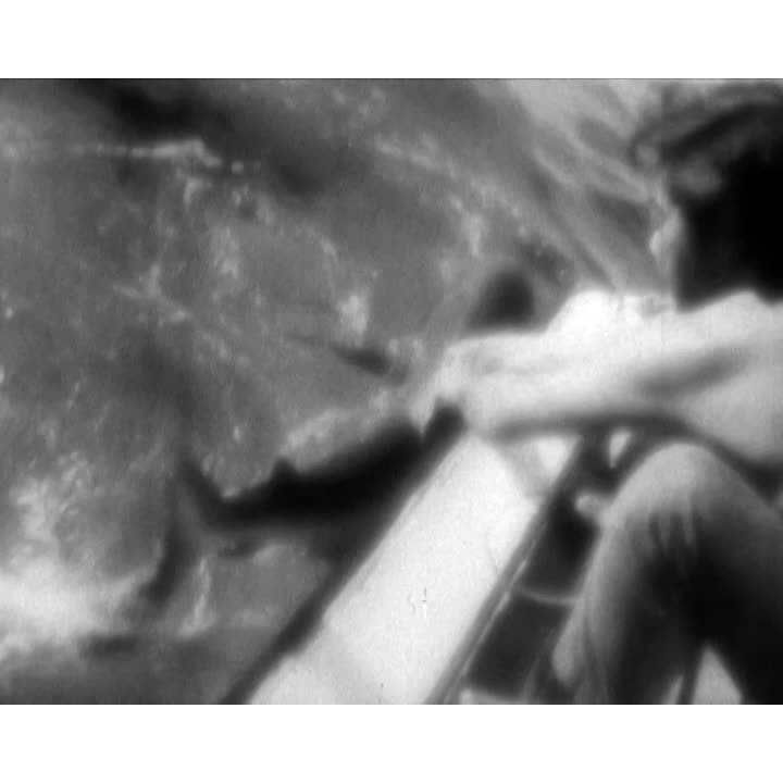 John Harding on sharks part 2