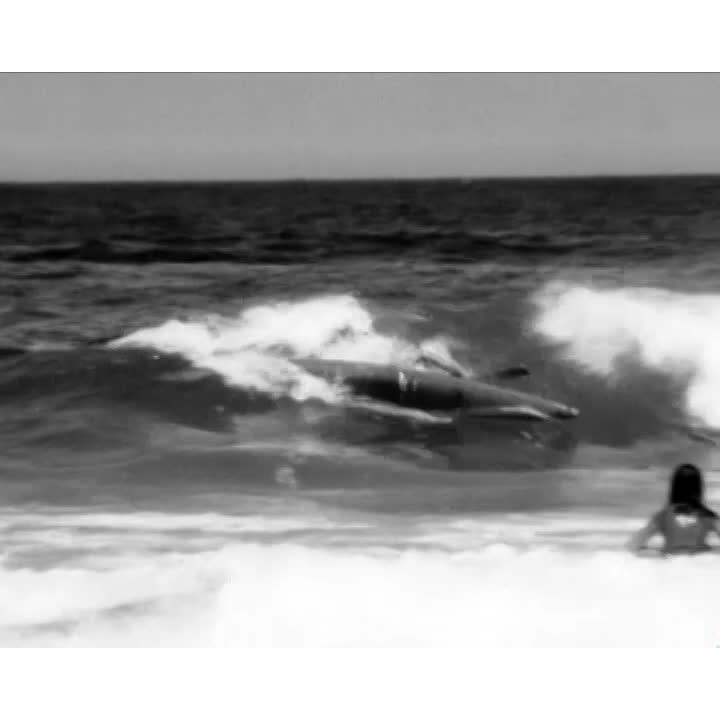 Illawarra canoeist in Australian team part 1