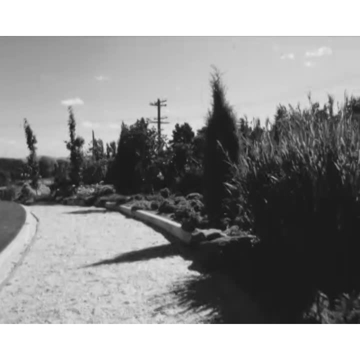Blue Mountains special part 2