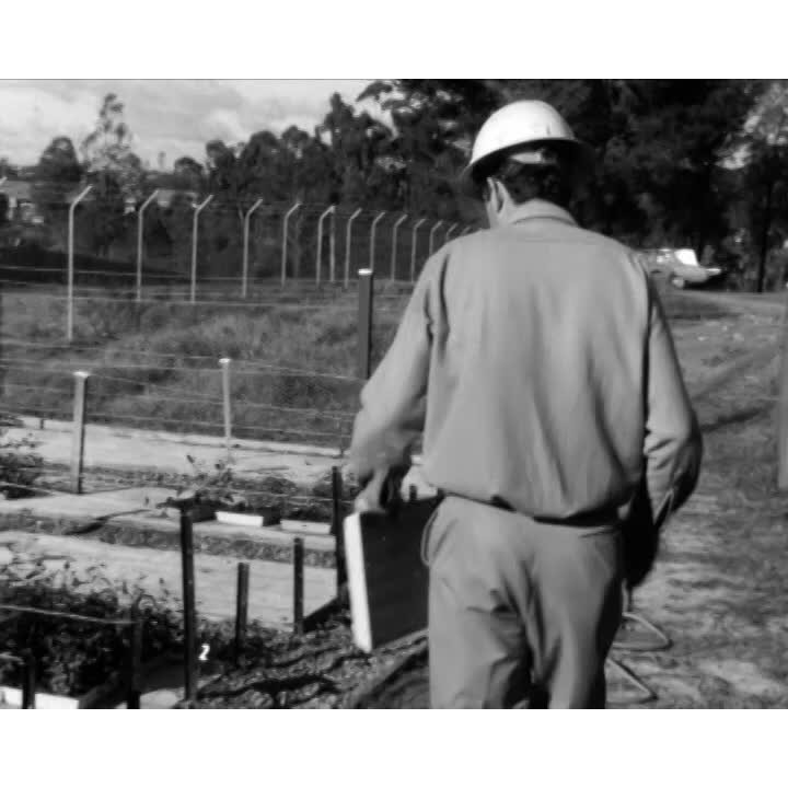 Forestry at Eden