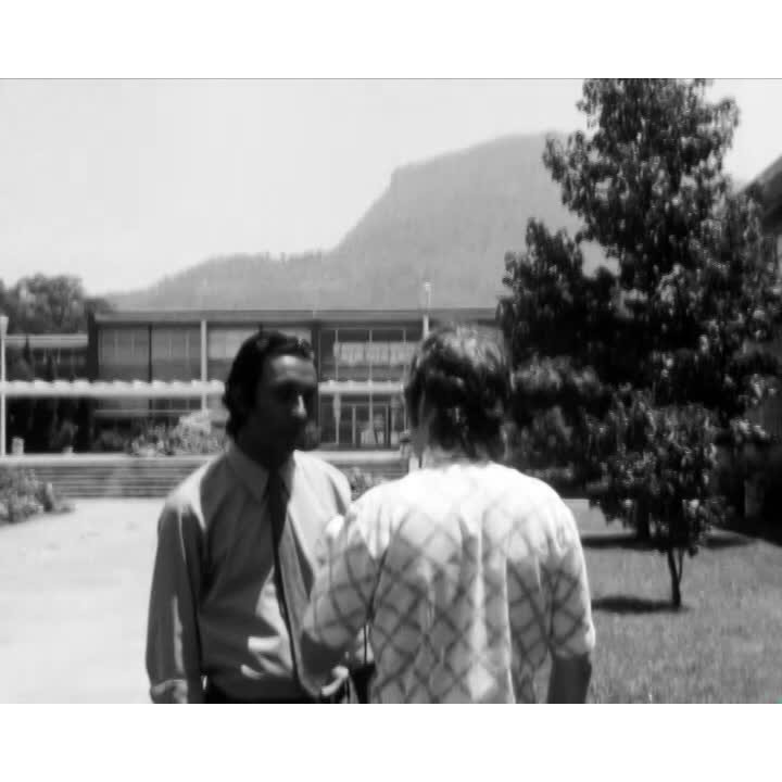 University enrolments