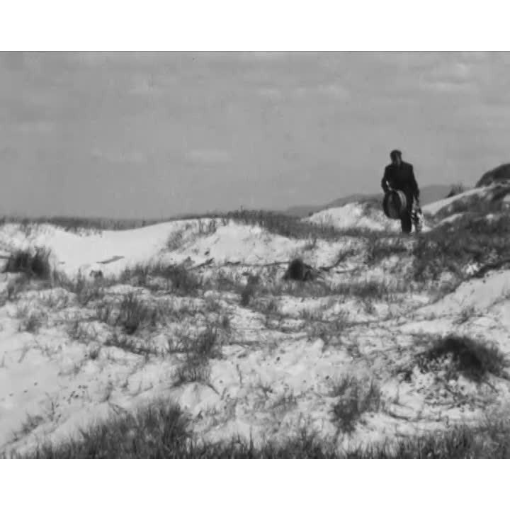 Rex Gilroy searches