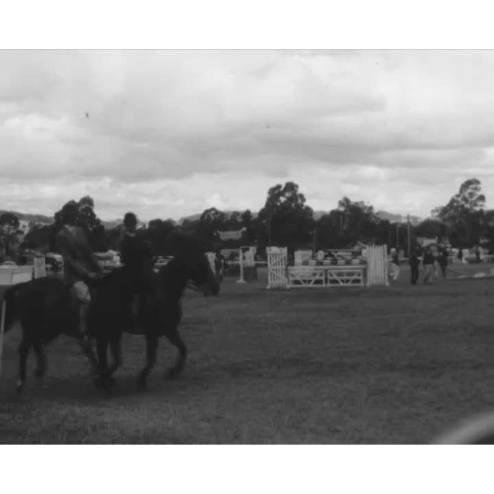Equestrians on parade