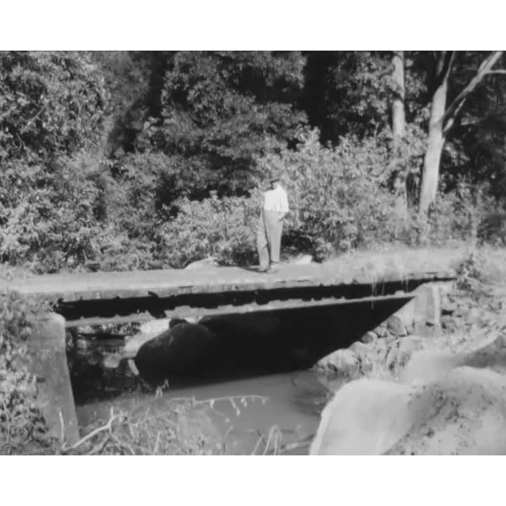 Pratts tunnel re-visited - Growing up in Mt Keira mining community