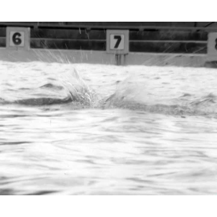 Des Renford marathon swimmer