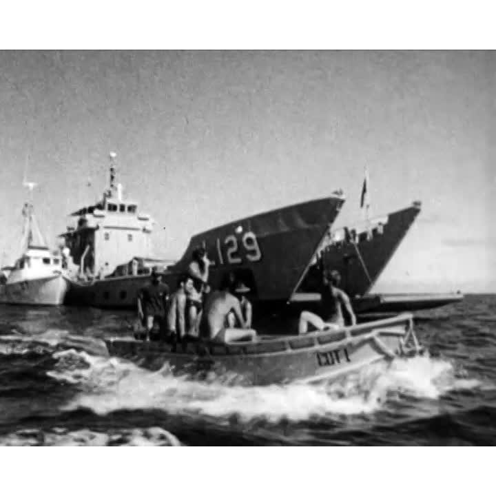 Navy divers