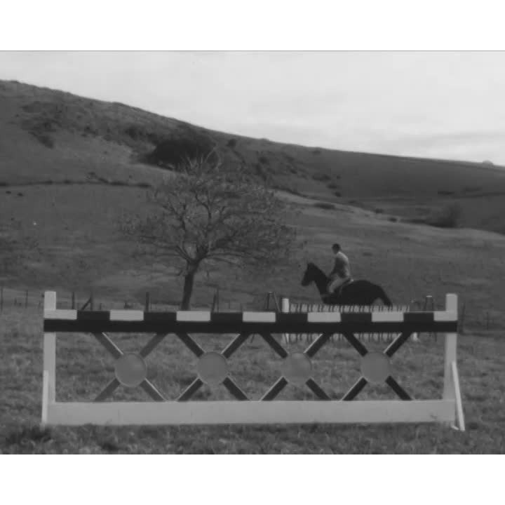 Horse jumping