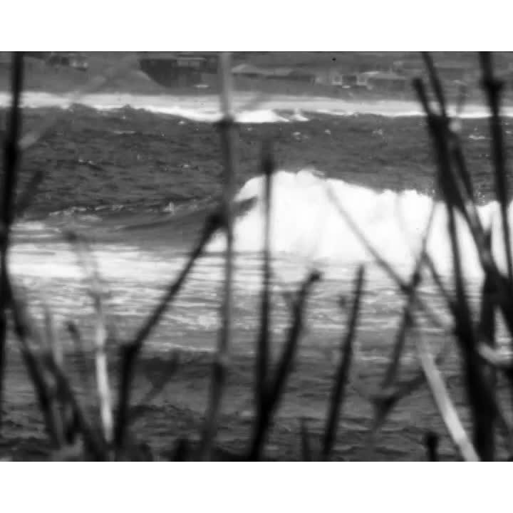 Save Kiama's Boneyard part 2