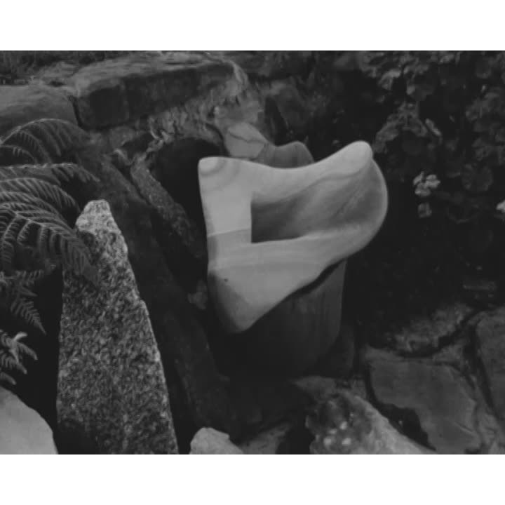 May Barrie sculpting