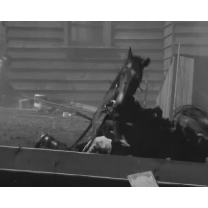 Return of the Boomerang part 4