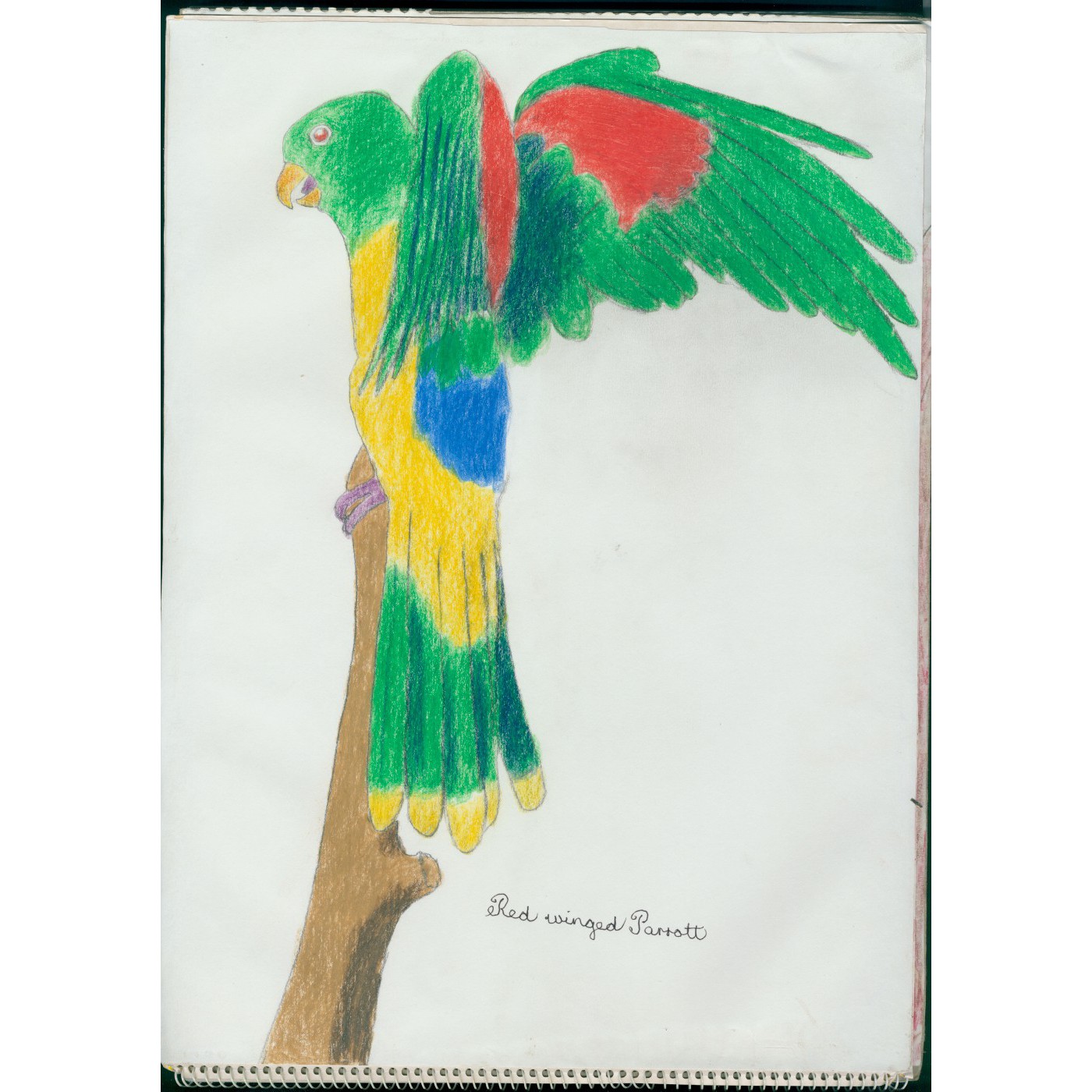 Robert Holman collection