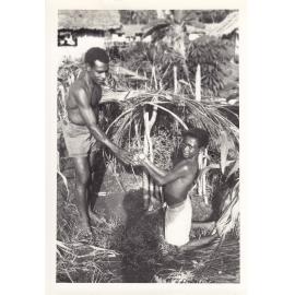 Villagers give a demonstration of sago making