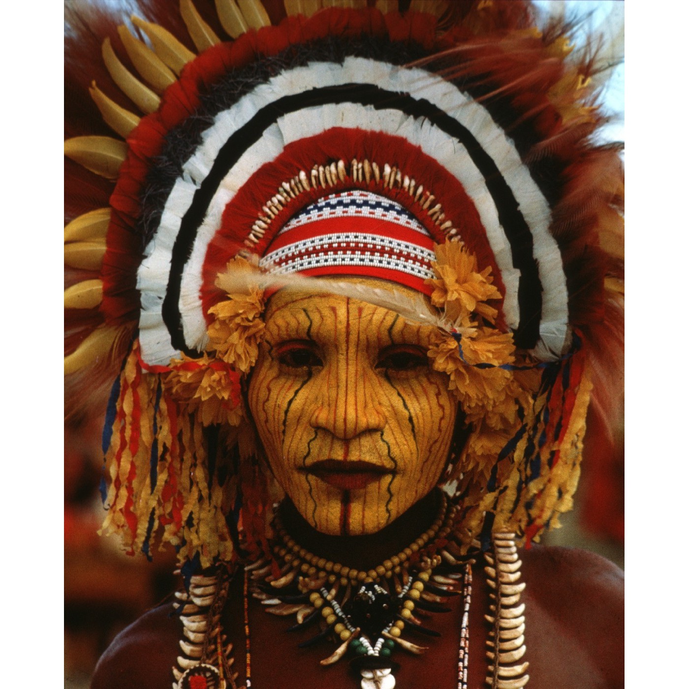 Cochrane Papua New Guinea collection