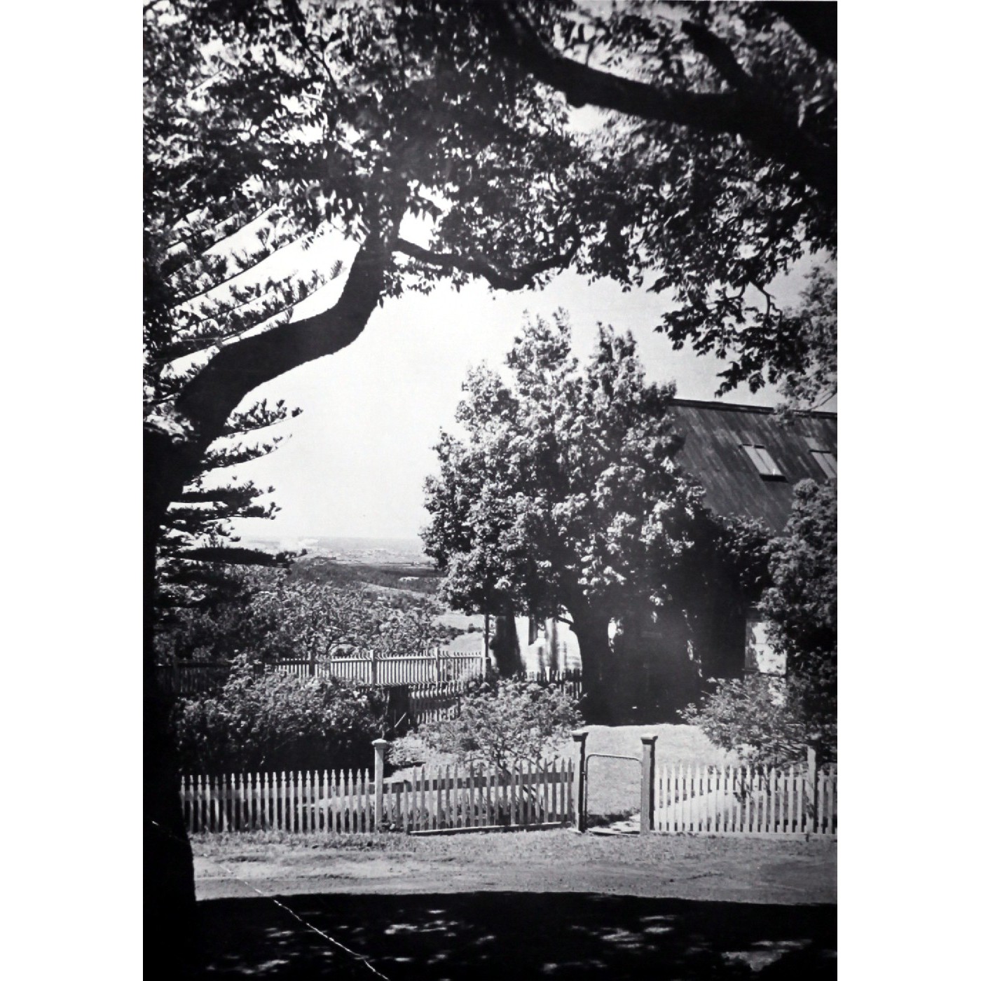 Mary Tow : history of education in the Illawarra
