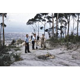 Tree planting Trig Lookout