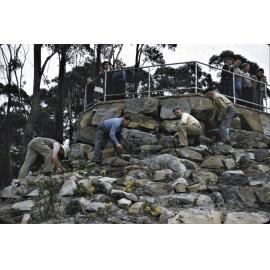 Planting rock garden