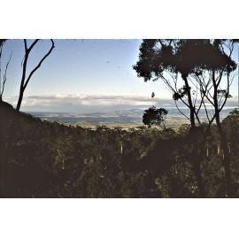 Lake Illawarra from Mt Keira