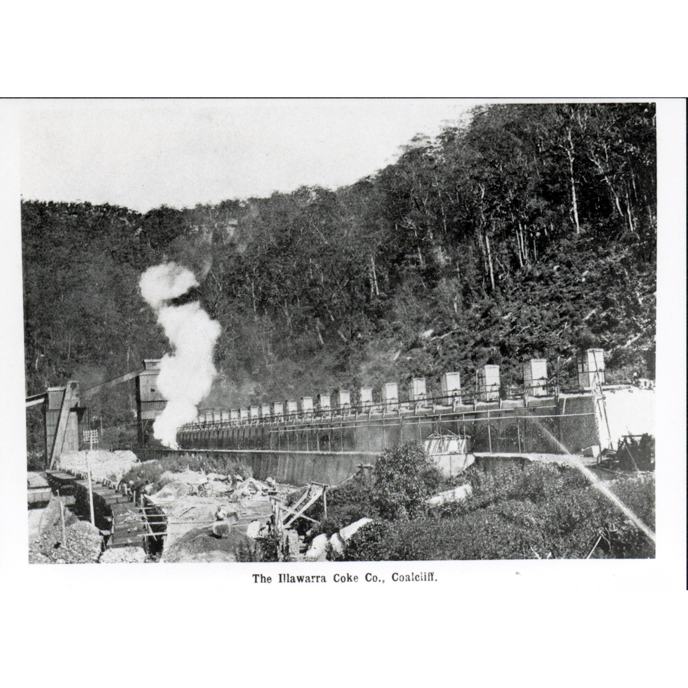 Illawarra Coke Company Collection