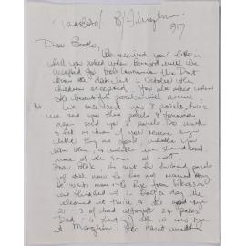 Transcript of letter by an unknown German soldier