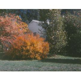 "Netherby", Moss Vale home of Janet Louise Cosh