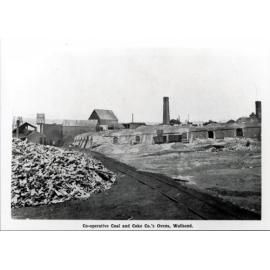 Co-operative Coal and Coke Co.'s ovens, Wallsend